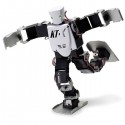 Advanced Acrobatic Robot