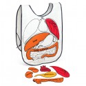 Anatomy Apron