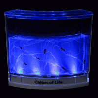 AntWorks - Space Age Ant Habitat