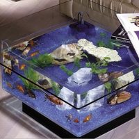 Aquarium Coffee Table