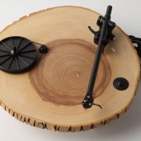 Barky Turntable