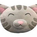 Big Bang Theory Soft Kitty Head Plush Pillow