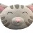 Big Bang Theory Soft Kitty Head Plush Pillow