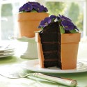 Blooming Flower Pot Cake