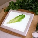 Bug Checker Portable Light Board
