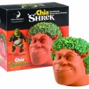 Chia Shrek