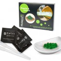 Cocktail Pearls Kit