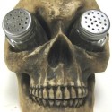 Creepy Human Skull Salt & Pepper Shaker Set