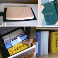 Dictionary Desk Pillows