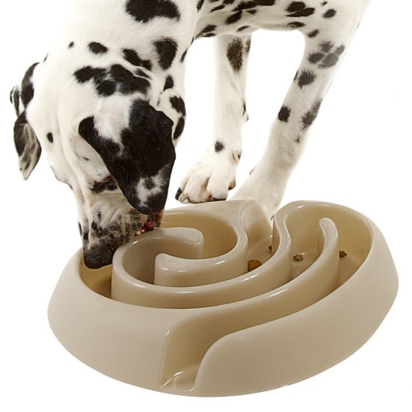 Dog-Maze-Food-Bowl.jpg