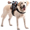 Dog Riders Headless Horseman Costume