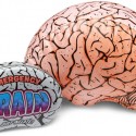 Emergency Inflatable Brain