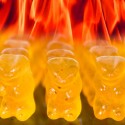 Evil Hot Gummi Bears
