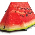 FieldCandy Tent What a Melon