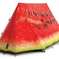 FieldCandy Tent What a Melon