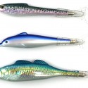 Fish Pens
