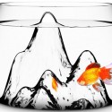 Fishscape Fishbowl
