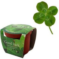 Four-Leaf Clover Planting Kit