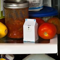 Fridgeezoo