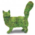 Garden Topiaries