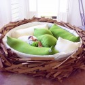 Giant Birds Nest