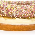 Giant Doughnut Mould