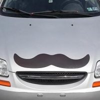 Giant Magnetic Mustache3