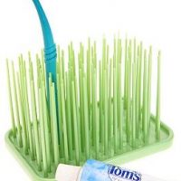 Grassy Green Toothbrush Holder