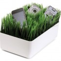 Grassy Lawn Charging Station