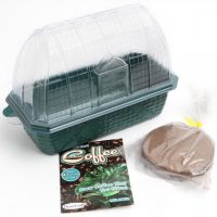 Grow Your Own Coffee