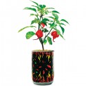 Grow Your Own World's Hottest DIY Pepper
