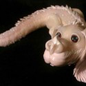 Handmade Falcor Figurine