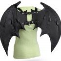 Handmade Leather Wings with Harness