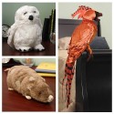 Harry Potter Pet Plush Set