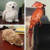 Harry Potter Pet Plush Set