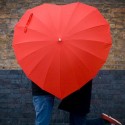Heart Shaped Umbrella