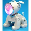 Hip Hop Pet Loudspeaker