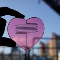 HeartPart Fork
