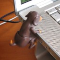 Humping USB Dog