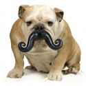 Humunga Stache