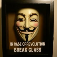In Case of Revolution Break Glass