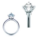 Killer Ring