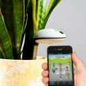 Koubachi Wi-Fi Plant Sensor