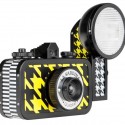 La Sardina Pattern Editions Cameras