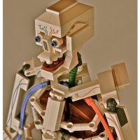 Lego Anatomy Figure