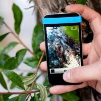 Macro Cell Lens Band