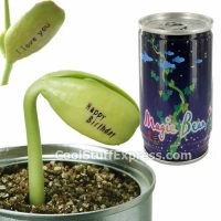 Magic Bean In A Can Message Plant