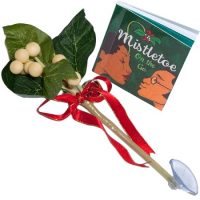 Mistletoe-To-Go