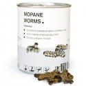 Mopane Worms