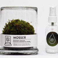 Mosser Decorative Terrarium